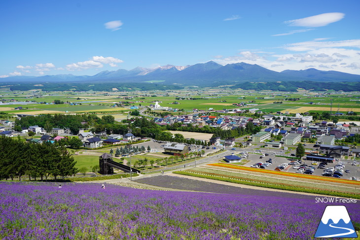 カメラを片手に夏の中富良野～上富良野・ラベンダー花畑巡り☆